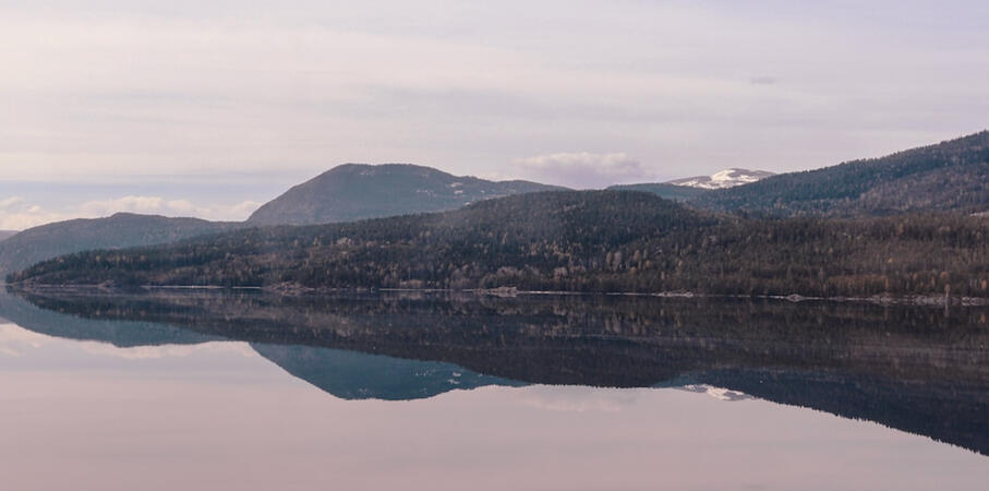 STILLNESS