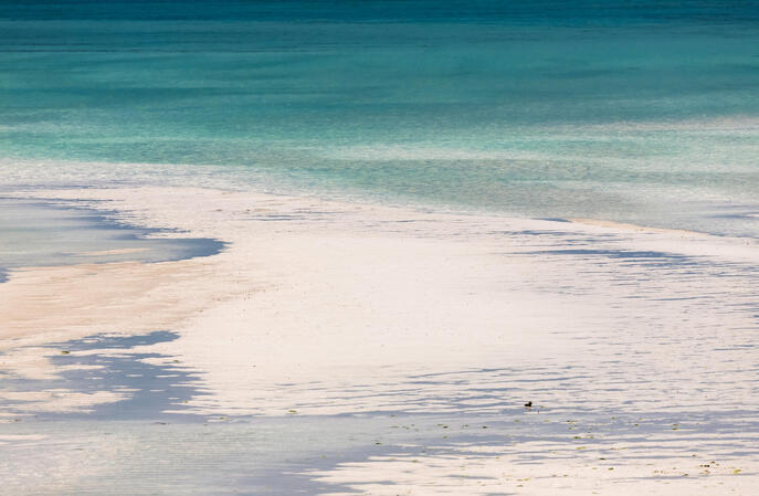 Shades of Blue